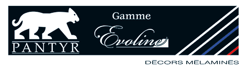 Logo Evoline.